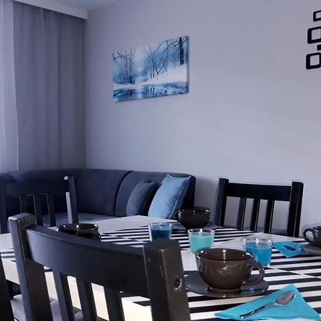 Apartament Wiktoria Ustrzyki Dolne Εξωτερικό φωτογραφία